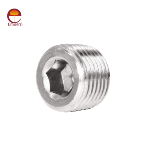 Stainless Steel Countersunk Plug