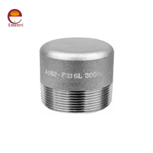 Stainless Steel Round Head Plug