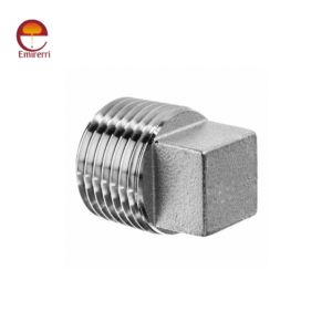 Stainless Steel Square Head Plug