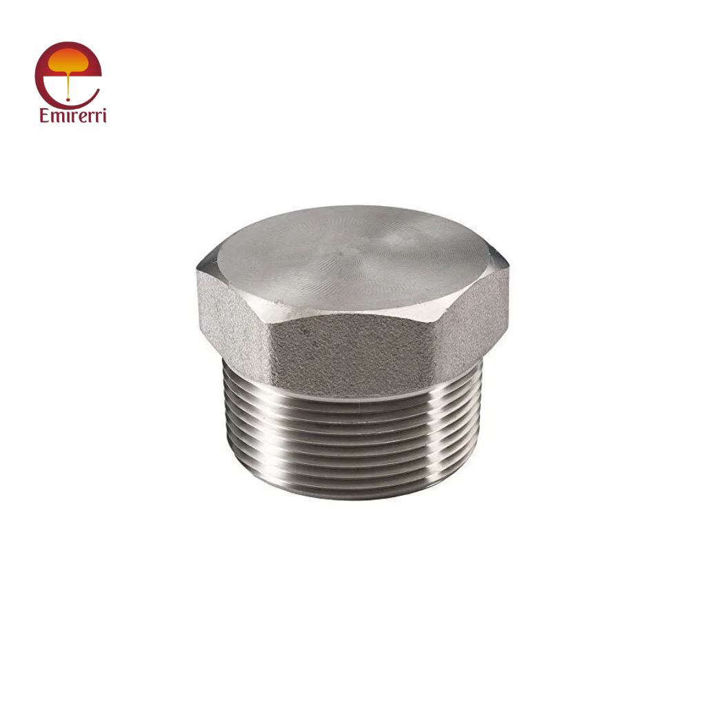 Stainless Steel Hex Plug