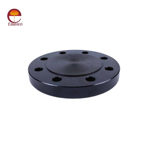 carbon steel blind flange