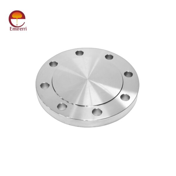 Stainless Steel Blind Flange